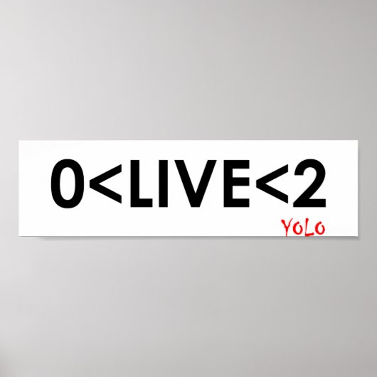 YOLO Math Funny Poster (Vorne)