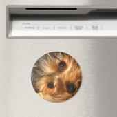 York Augen Magnet (In Situ (Geschirrspüler))