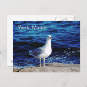 York, Maine Postcard Postkarte (Vorne/Hinten)