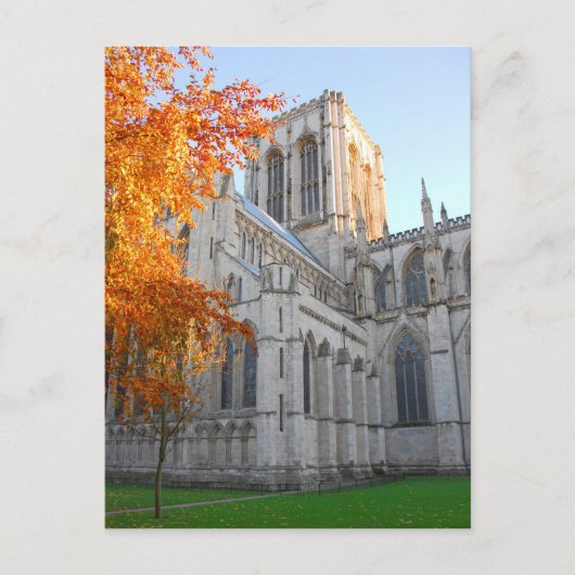 York Minster Postcard Postkarte (Vorderseite)