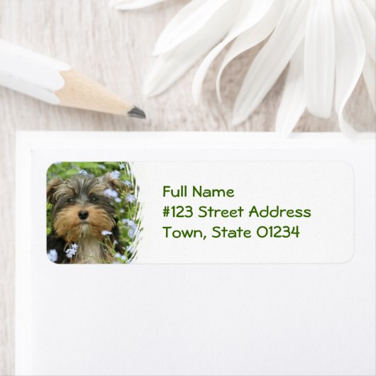 York Terrier Dog Return Address Label (Insitu)