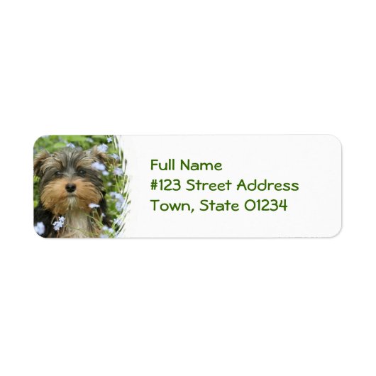 York Terrier Dog Return Address Label (Vorne)