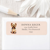 Yorki Dog-Adresse (Insitu)