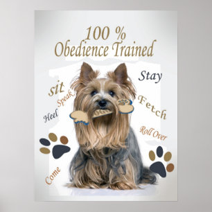 Yorkie 100 % Gehorsam Geübtes Poster