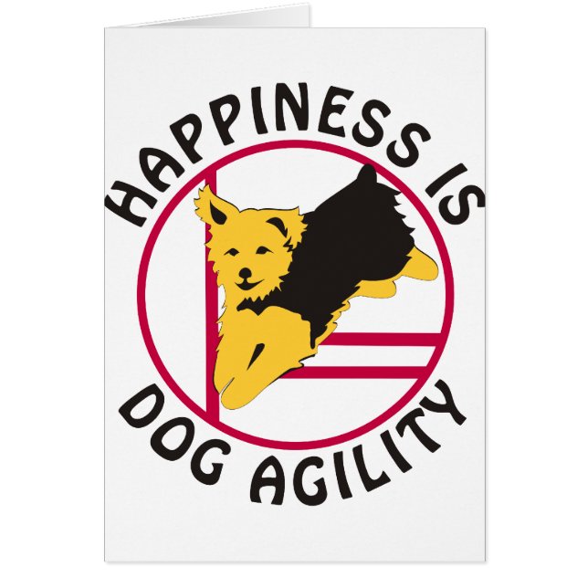 Yorkie Agility-Glück (Vorne)