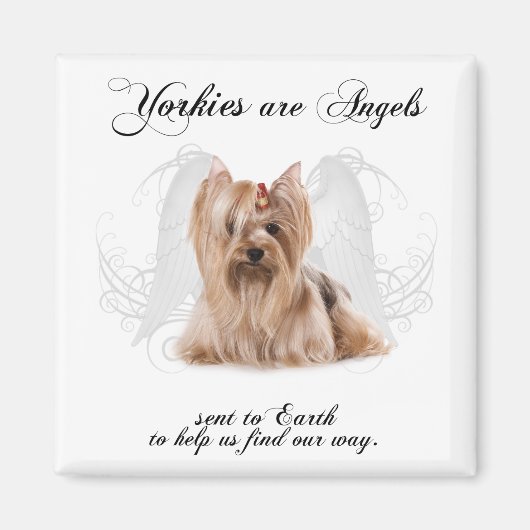 Yorkie Angel Magnet (Vorne)