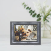 Yorkie auf einer Bank Postkarte (Stehend Vorderseite)