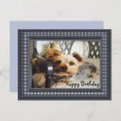 Yorkie auf einer Bank Postkarte (Vorne/Hinten)