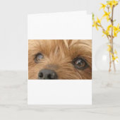 yorkie Augen Karte (Gelbe Blume)