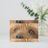 Yorkie Augen Postkarte (Stehend Vorderseite)