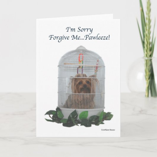 Yorkie Birdcage Sorry Karte (Vorderseite)
