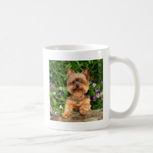 Yorkie Blumen Kaffeetasse