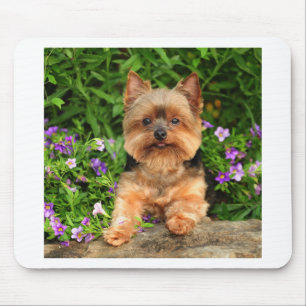 Yorkie Blumen Mousepad
