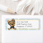 Yorkie by Beach Starfish (Insitu)