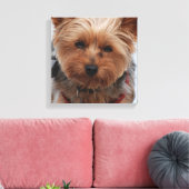 Yorkie Canvas Print Leinwanddruck (Insitu (Wohnzimmer))