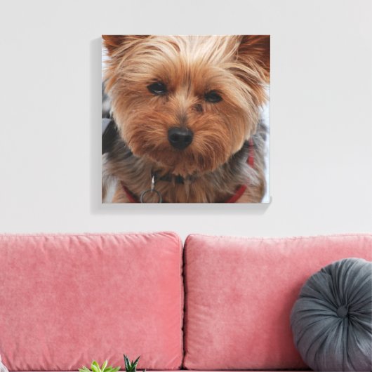 Yorkie Canvas Print Leinwanddruck (Insitu (Wohnzimmer))