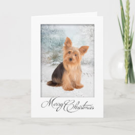 Yorkie Christmas Card Feiertagskarte