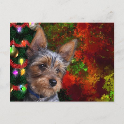 Yorkie Christmas Feiertagspostkarte (Vorderseite)