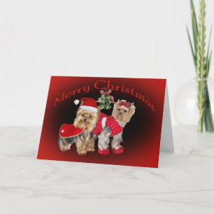 Yorkie Christmas & Mistletoe Cards Feiertagskarte