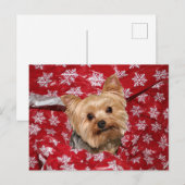 Yorkie Christmas Postkarte (Vorne/Hinten)