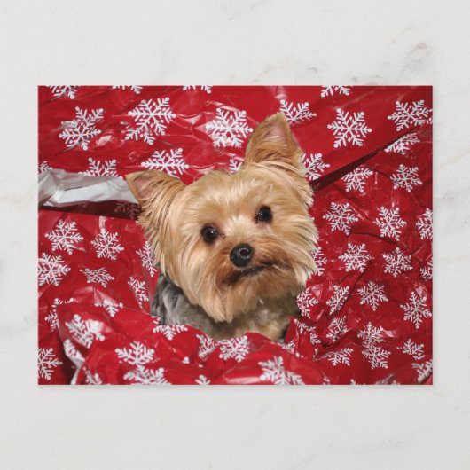 Yorkie Christmas Postkarte (Vorderseite)