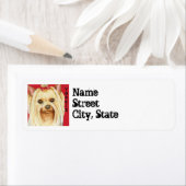 Yorkie Color Block Label (Insitu)