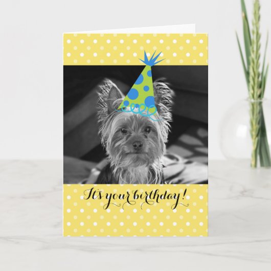 Yorkie Dog Birthday Card Karte (Vorderseite)