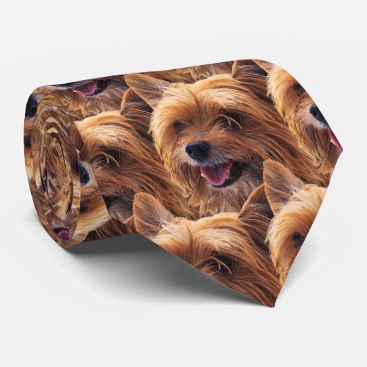 Yorkie Dog Krawatte (Gerollt)