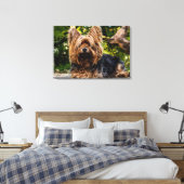 Yorkie dog Leinwand (Insitu (Schlafzimmer))