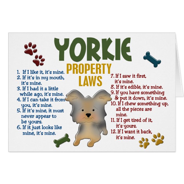 Yorkie Eigentums-Gesetze 4 (Vorderseite (Horizontal))