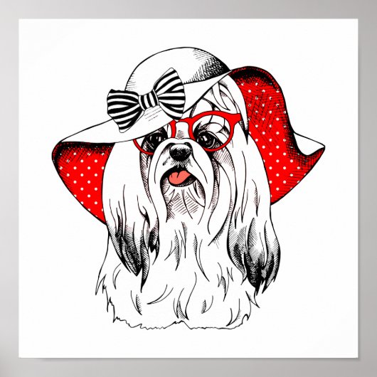 Yorkie Fashion Shoot Poster (Vorne)