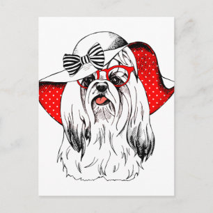 Yorkie Fashion Shoot Postkarte