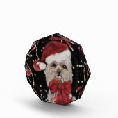 Yorkie Fotoblock (Rechts)