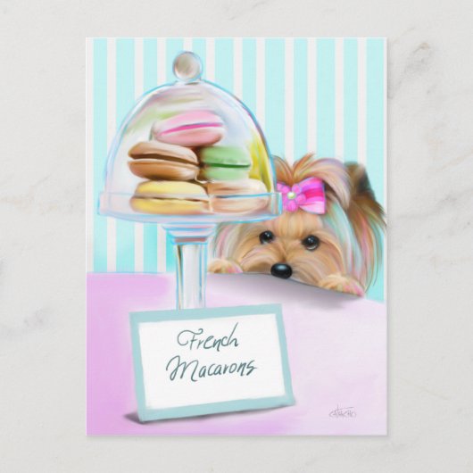 Yorkie French Macarons Postkarte (Vorderseite)