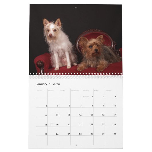Yorkie Friends 2013 - Kalender (Jan 2026)