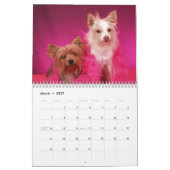 Yorkie Friends 2013 - Kalender (Mär 2027)