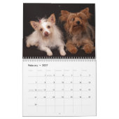 Yorkie Friends 2013 - Kalender (Feb 2027)