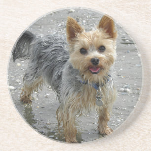 Yorkie Getränkeuntersetzer