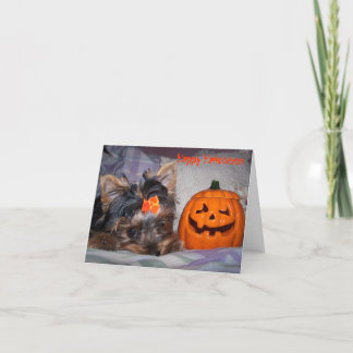 Yorkie Halloween Notecard Karte