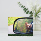 Yorkie Hund - Herbstreise - Große, rauchige Berge Postkarte (Stehend Vorderseite)