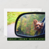 Yorkie Hund - Herbstreise - Große, rauchige Berge Postkarte (Vorne/Hinten)