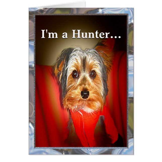 Yorkie Hunter individuell anpassbar (Vorne)