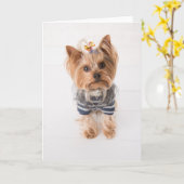 Yorkie-im Pullover Karte (Gelbe Blume)