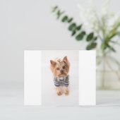 Yorkie-im Pullover Postkarte (Stehend Vorderseite)