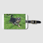 Yorkie in Bewegung Gepäckanhänger (Vorderseite (Horizontal))