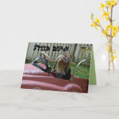 Yorkie in Car Birthday Karte (Gelbe Blume)