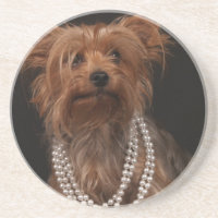 Yorkie in der Perlen-Halskette