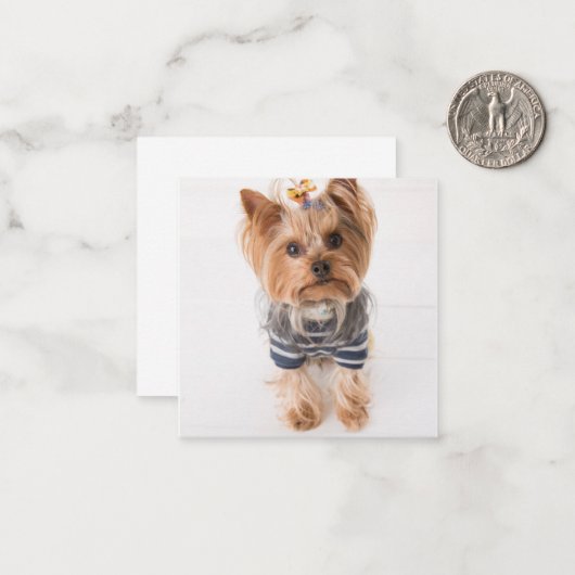 Yorkie-in-Pullover Mitteilungskarte (Vorderseite/Rückseite Beispiel)