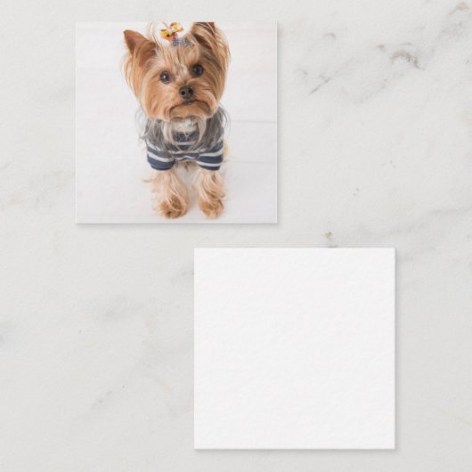 Yorkie-in-Pullover Mitteilungskarte (Vorne/Hinten)
