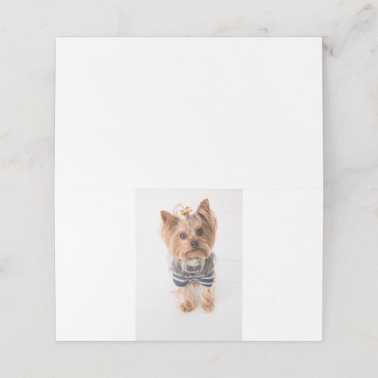 Yorkie-in-Pullover Platzkarte (Außenseite Aufgefaltet)
